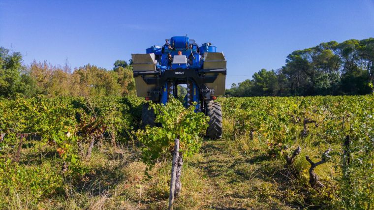 Los empresarios vitivinícolas destacan la reducción de la siniestralidad en el sector hasta niveles mínimos