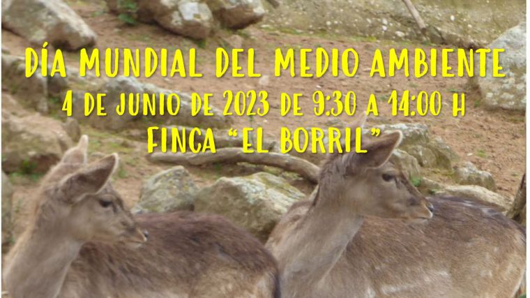 La Diputación de Toledo invita a celebrar el dominigo en El Borril el Día Mundial del Medio Ambiente