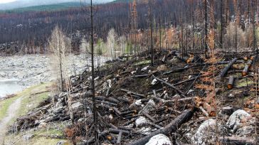 26 trabajadores del Plan Infocam de CLM se desplazarán a Canadá para ayudar en la extinción de incendios forestales