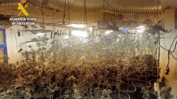 Detenidas cuatro personas en Albatana y desmantelados dos centros de producción y germinación de cannabis