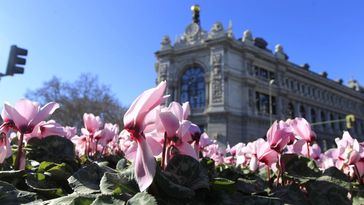 La riqueza neta de las familias sube un 2,9% en el primer trimestre y su deuda se modera al 51% del PIB