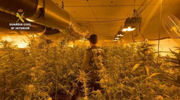 Desmantelan en Santa Olla una plantación de marihuana 'indoor' con 500 plantas listas para ser recogidas