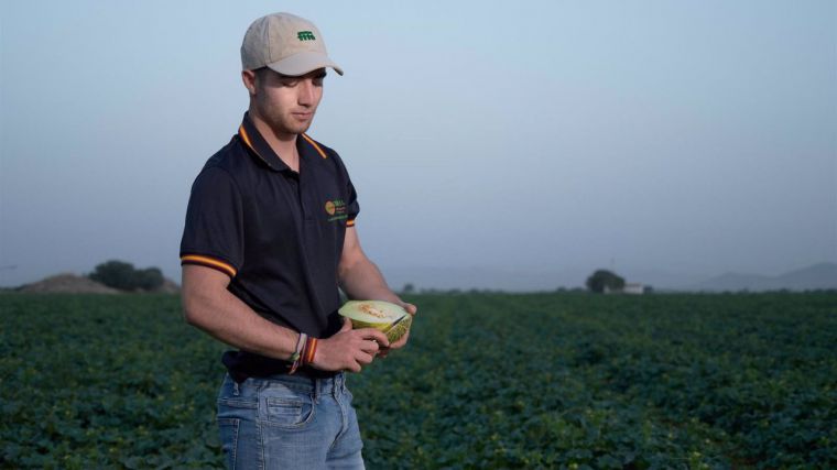 Productores de melón y sandía de La Mancha esperan una buena campaña, 'con buen precio y calidad extraordinaria'