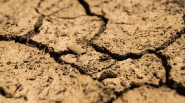 FIAB alerta del impacto de la sequía en el suministro de alimentos y bebidas