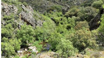 CCOO denuncia que empleados del centro de visitantes de Cabañeros en Horcajo de los Montes llevan dos meses sin cobrar