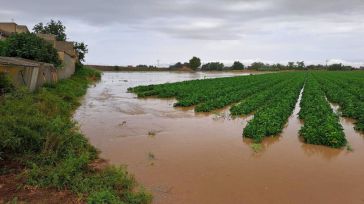 Asaja Toledo pedirá zona catastrófica para producciones agrícolas por DANA y cifra los desperfectos en más de 5 millones