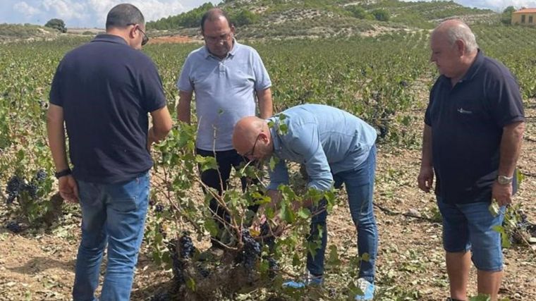 Afectadas más de 10.0000 hectáreas de explotaciones agrarias por el granizo en el sureste de la provincia de Albacete