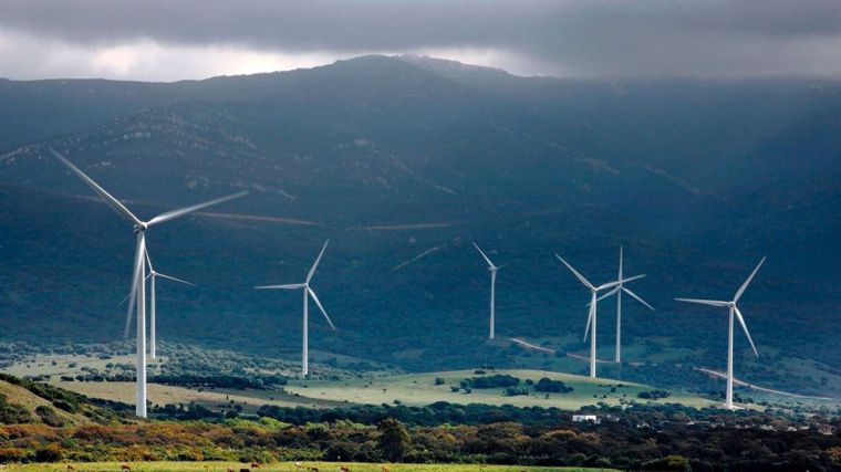 Audax, una de las compañías de renovables con más peso en CLM, multiplica por más de tres su beneficio semestral