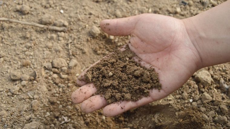 Más de 45.000 agricultores de CLM han recibido ya un total de 59 millones de euros de las ayudas por el encarecimiento de los fertilizantes
