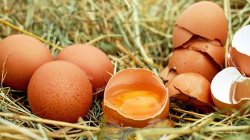 Castilla-La Mancha repite como principal productora de huevos del país, un mercado que mueve 1.554 millones de euros 
