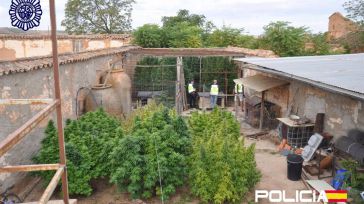 Detienen a una persona e incautan 10 kilos de cogollos de marihuana en una vivienda de Valdepeñas