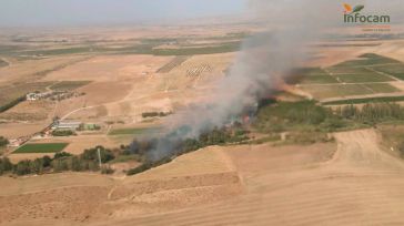 La campaña de incendios forestales en CLM concluye con 1.300 hectáreas quemadas frente a las 14.000 de 2022