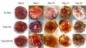 Investigadores de la UCLM desarrollan un nuevo material ecológico y comestible que sirve de film para recubrir carne