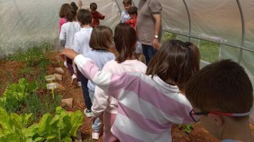 La Diputación de Toledo avanza en su apuesta por el medio ambiente y el desarrollo sostenible, a través del Programa ‘Huertos Escolares Ecológicos’