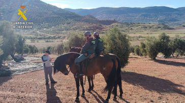 El servicio a caballo se suma al operativo de la campaña olivarera de la Guardia Civil en Albacete