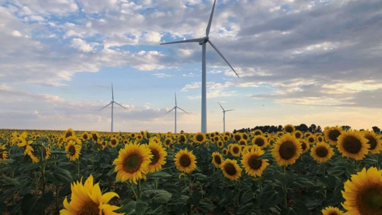 Iberdrola renueva sus parques eólicos de Casas de Lázaro y de Peñas de San Pedro, reduciendo generadores y aumentando potencia