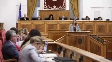 El Pleno aprueba solo con los votos del PSOE la resolución de la Ley contra la violencia de género