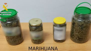 Detenida en Elche de la Sierra una mujer de 51 años por tráfico de marihuana