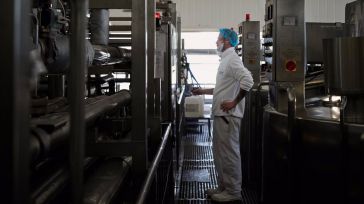 Lactalis Villarrobledo cierra 2023 a la cabeza de las queseras españolas con 325 empleados y 19.000 toneladas de queso