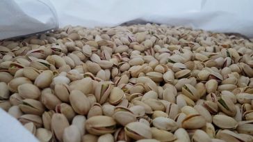 El sector regional del pistacho crea Adipe para facilitar la competividad internacional y homogeneizar estándares de calidad 