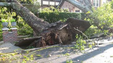 Albacete cierra los parques tras la alerta por vientos superiores a 70 kilómetros por hora