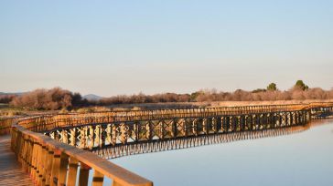 Gobierno regional demanda un plan específico para el Parque Nacional de Las Tablas de Daimiel: "Vamos a ser ambiciosos"