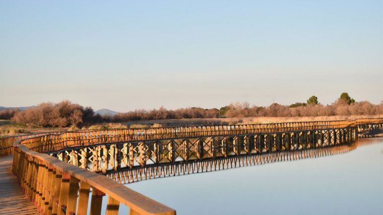 Gobierno regional demanda un plan específico para el Parque Nacional de Las Tablas de Daimiel: 'Vamos a ser ambiciosos'