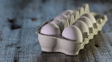 Las productoras de huevos de CLM se lanzan al mercado internacional tras liderar las ventas en España