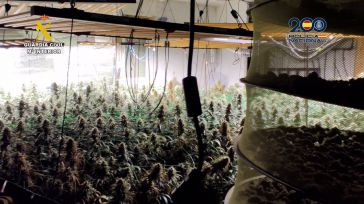 Tres detenidos y más de 100 kilos de marihuana incautados en una plantación de interior en Torrejón del Rey