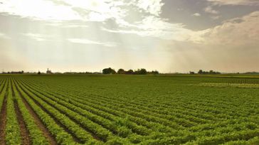 CLM envía a Agricultura correcciones en ecorregímenes, cuaderno verde y aspectos burocráticos para la PAC de 2025