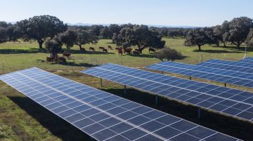 Statkraft, propietaria de la fotovoltaica El Refugio (Fuensalida-Toledo), gana 2.300 millones netos