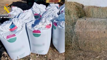 Detenidos dos varones con antecedentes por robar palets de cebollas, abono y pacas de alfalfa en Albacete