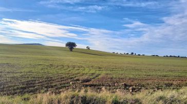 La Plataforma Sí a Tierra Viva alega contra proyecto de Quantum por no considerar a especies de la zona, algunas en peligro