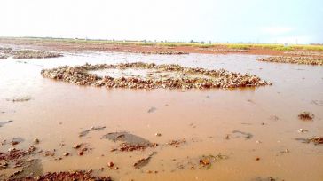 Ya son cuatro las carreteras con tramos cortados en Ciudad Real por las fuertes lluvias de última hora