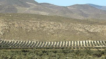 La Junta convoca por procedimiento de tramitación anticipada indemnizaciones para agricultores en zonas de montaña