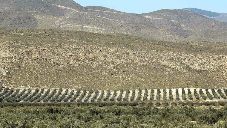 La Junta convoca por procedimiento de tramitación anticipada indemnizaciones para agricultores en zonas de montaña