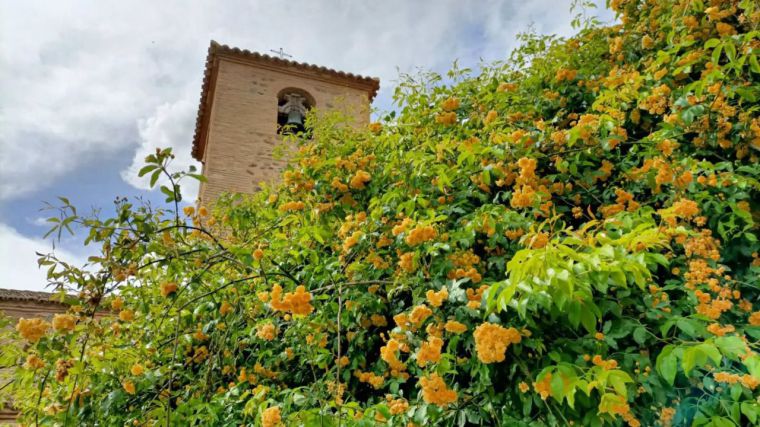 El Mercado de las Flores regresa este sábado al toledano Jardín de San Lucas 