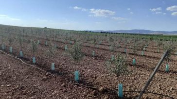 Asaja Ciudad Real pide a la CHG que "dé marcha atrás" a los "recortes" de agua