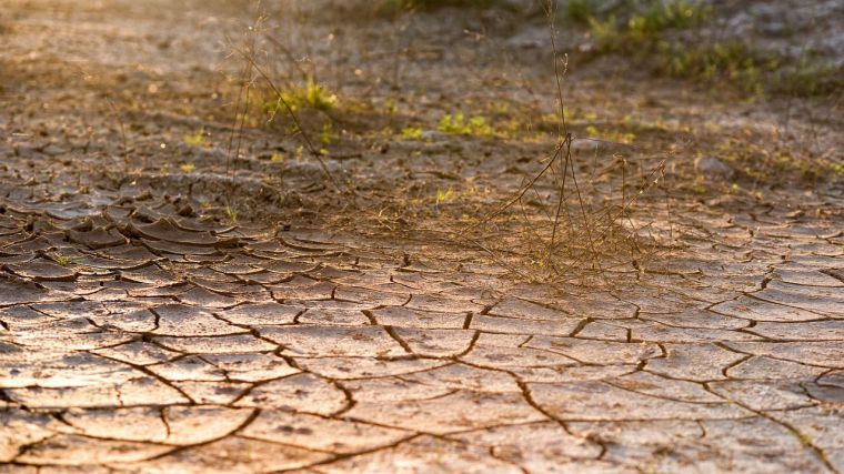 La sequía provoca pérdidas de más de 2.600 millones de euros en la agricultura
