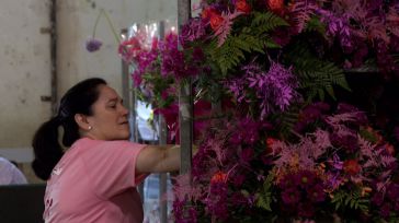 Floristas de todo el país trabajan 'contrarreloj' en Toledo por el Corpus, donde lucen ya más de mil plantas