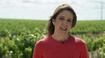 Maestre pide el voto al PSOE para “seguir trabajando en garantizar el futuro de la agricultura y del medio rural”