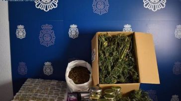 Desmantelado un centro de producción y distribución de marihuana en Tomelloso
