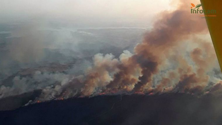 Más de 200 personas trabajan en la extinción del incendio iniciado este martes en Valverdejo 
