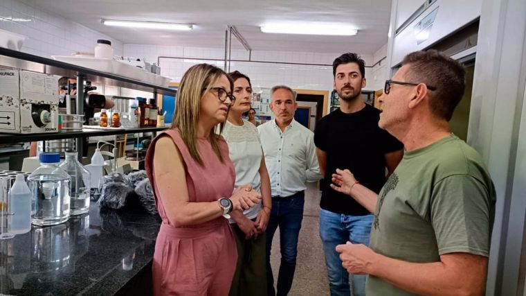 CLM impulsará nuevas investigaciones en el sector del champiñón para mantener el liderazo nacional en su producción