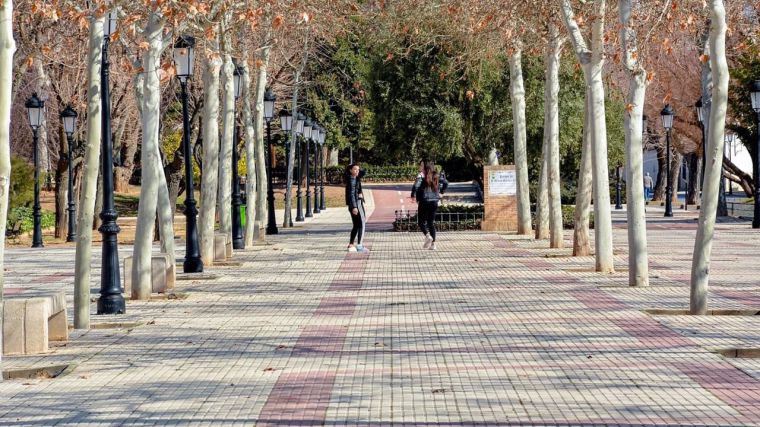 Dos detenidos en Tomelloso por cometer numerosos robos en vehículos estacionados