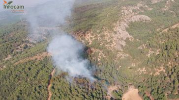 Nueve medios y 55 personas trabajan en extinguir un incendio en La Parra de las Vegas