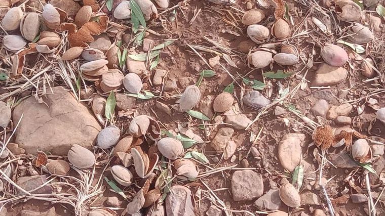 Cuatro pueblos de la provincia de Toledo se llevan la peor parte de los destrozos por las lluvias torrenciales y el granizo