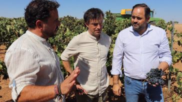 Núñez reclama a la Junta una estrategia para el sector vitivinícola "para garantizar su rentabilidad y viabilidad"