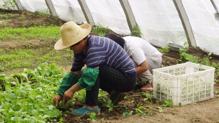 Los cotizantes extranjeros en la Seguridad Social bajaron un 2,86% en agosto en CLM