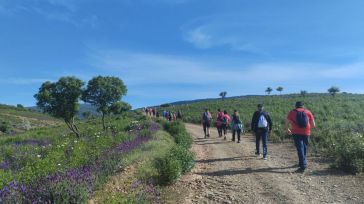 La nueva temporada de los “Paseos naturales” de la Diputación de Toledo oferta 34 rutas para conocer mejor la naturaleza y el patrimonio de la provincia